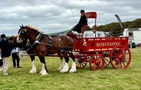 Meirioneth County Show